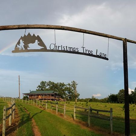 Rural Life On A Real Christmas Tree Farm! Hallmark Experience! Ozark Kültér fotó