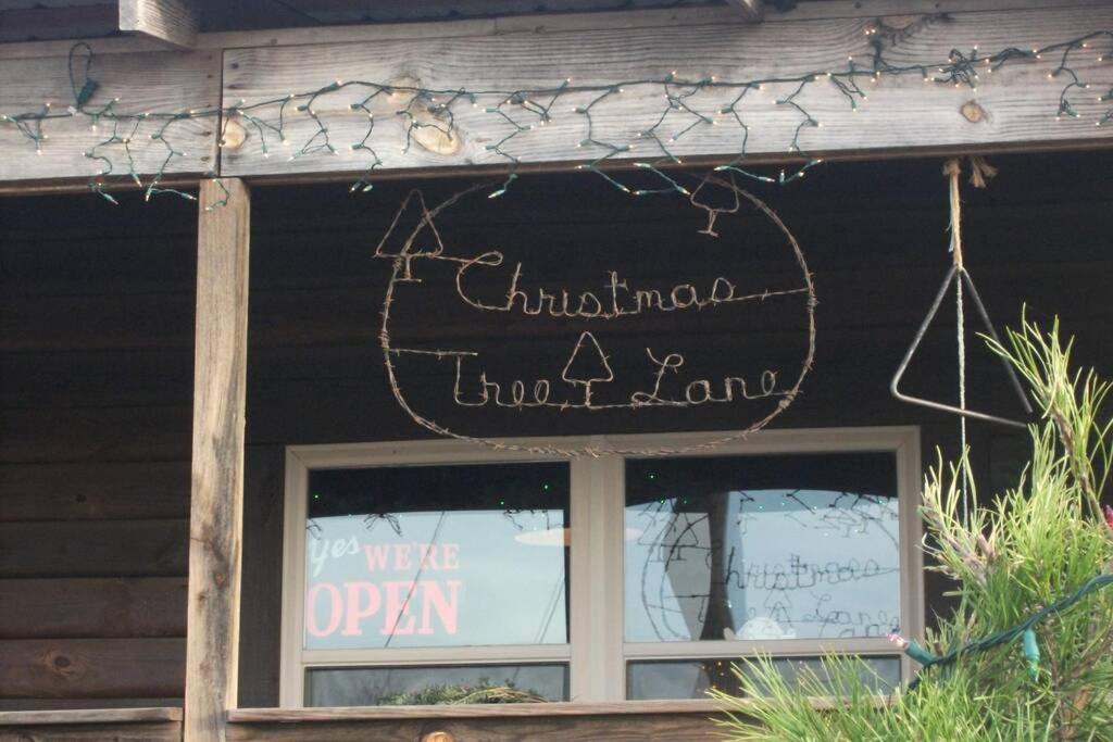Rural Life On A Real Christmas Tree Farm! Hallmark Experience! Ozark Kültér fotó