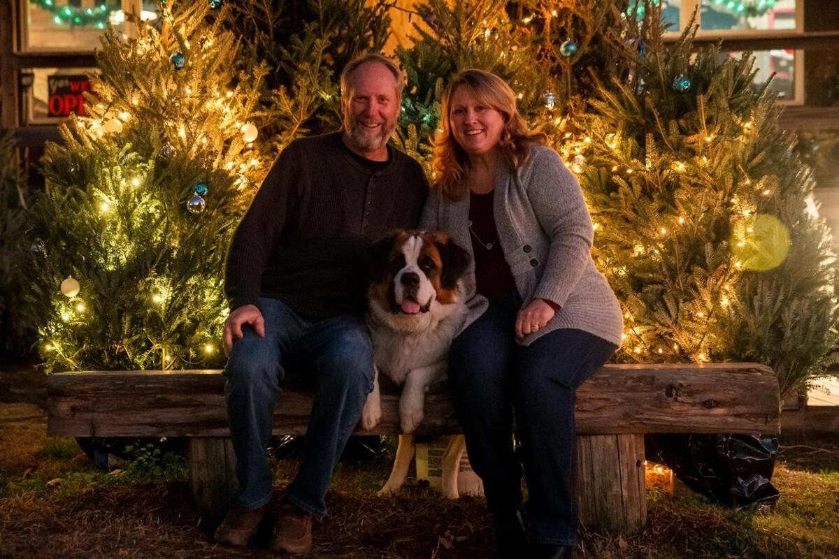 Rural Life On A Real Christmas Tree Farm! Hallmark Experience! Ozark Kültér fotó
