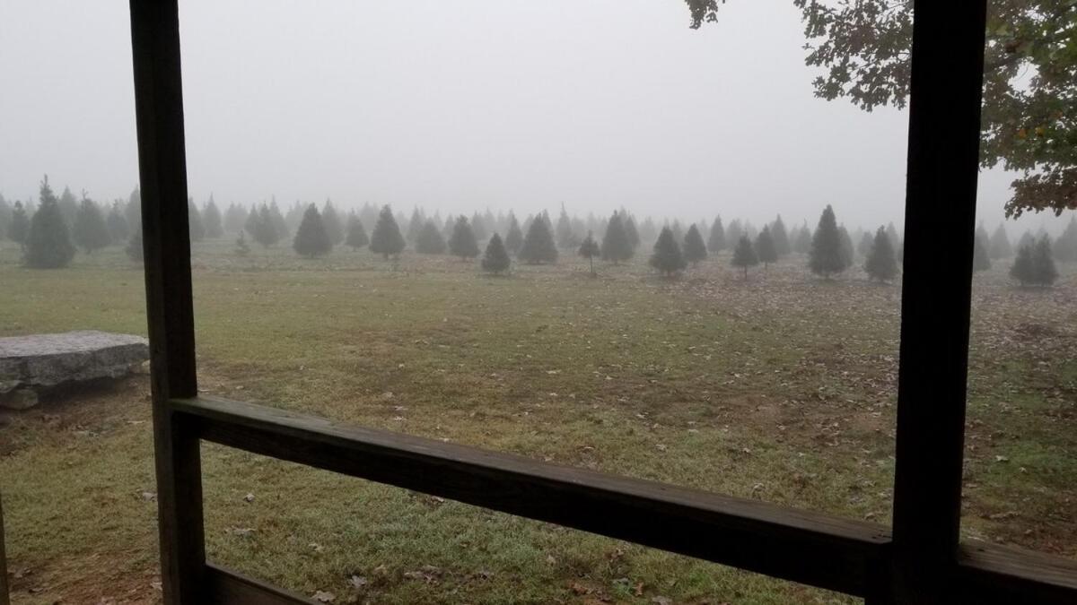 Rural Life On A Real Christmas Tree Farm! Hallmark Experience! Ozark Kültér fotó